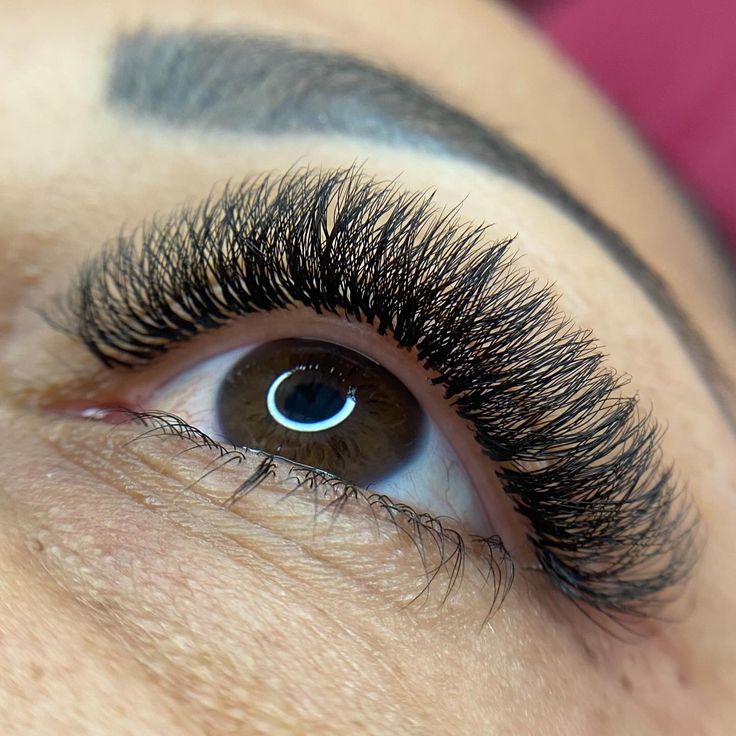 Résultat premium d'extensions de cils